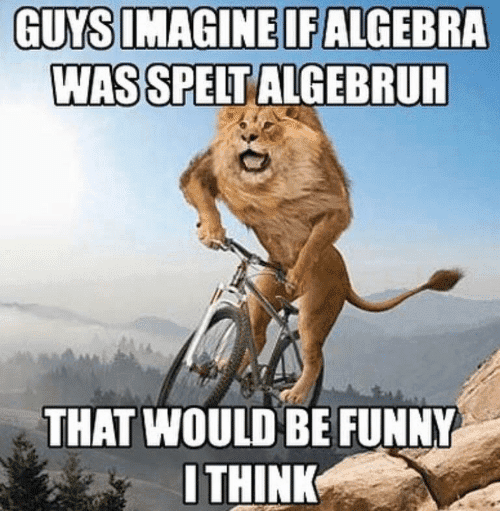 guys-imagine-if-algebra-was-spelt-algebruh-that-would-be-67278206