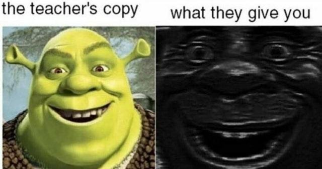 funny-meme-about-shrek-dumb-memes-teachers-school-memes-the-teachers-copy-what-they-give-you