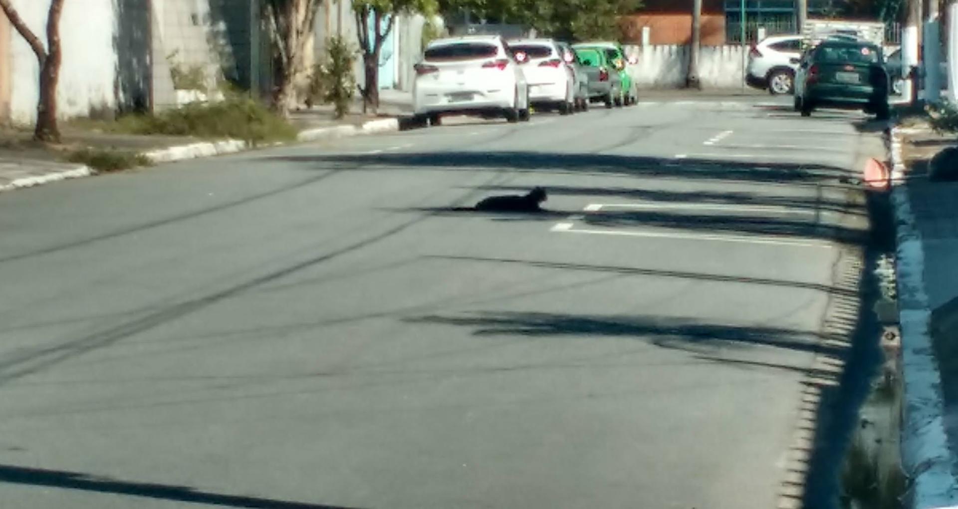 IMG_20200420_095802566_HDR