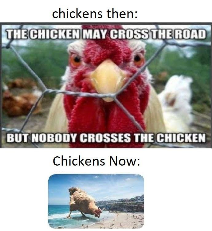 Chickens Then vs Chickens Now