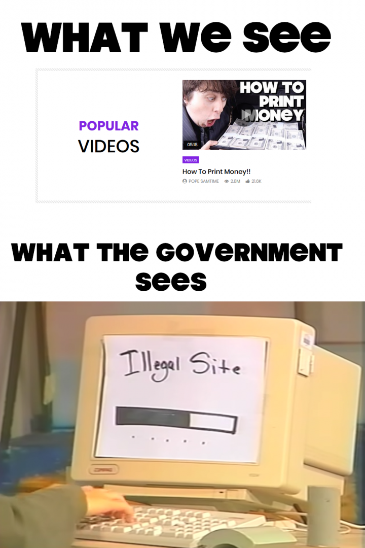 what we see vs what government sees