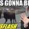 Bison Run From Yellowstone, Will it Blow?!! – NEWSFLASH