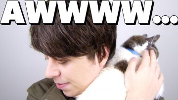 Cat-Invaders!! – FUNKY MONDAYS