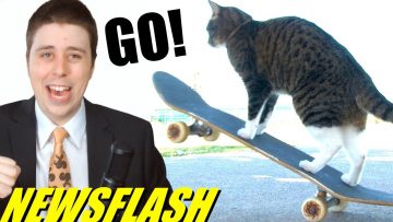 Cat Rides Skateboard!! – NEWSFLASH!