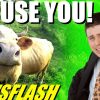 Cow Farts Cause Barn Explosion! – NEWSFLASH