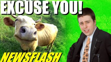 Cow Farts Cause Barn Explosion! – NEWSFLASH
