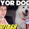 Dog Elected Mayor in Minnesota!! – NEWSFLASH