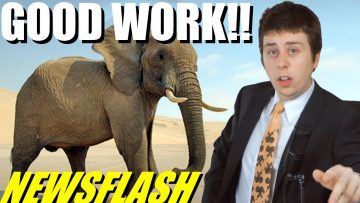 Elephant Saves Baby From House it Destroyed – NEWSFLASH