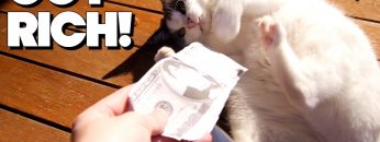 Get Rich Quick!! – FUNKY MONDAYS