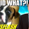 Guy Has Sex With Girlfriends Dog!! – NEWSFLASH