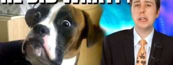 Guy Has Sex With Girlfriends Dog!! – NEWSFLASH