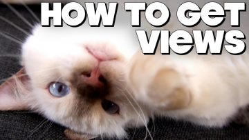 How To Get Views on YouTube!!