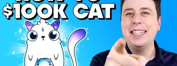 How To Play CryptoKitties