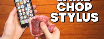 Introducing the Lamb Chop Stylus