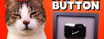 My Cat Got a Silver Play Button – FUNKY MONDAY