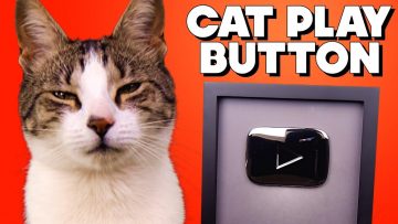 My Cat Got a Silver Play Button – FUNKY MONDAY