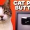 My Cat Got a Silver Play Button – FUNKY MONDAY