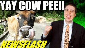 NEWSFLASH! Group Drinks Cow Pee Medicine!