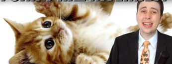 NEWSFLASH! Kittens Break into Prisons & Net Neutrality Concerns!!