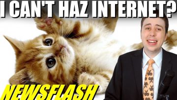 NEWSFLASH! Kittens Break into Prisons & Net Neutrality Concerns!!