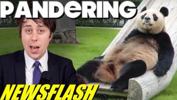Panda Fakes Pregnancy to get Air Conditioning! – NEWSFLASH