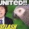 Parrot Comes Home After 4 Years & Now Speaks Spanish!! – NEWSFLASH