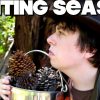 Pine Cone Hunting!! – FUNKY MONDAYS