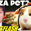 Pizza Hut Promo Offers ‘Small Animal’ With Order!! – NEWSFLASH