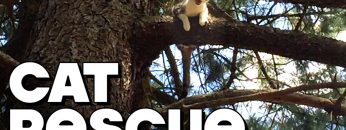 Saving My Cat’s Life – FUNKY MONDAY