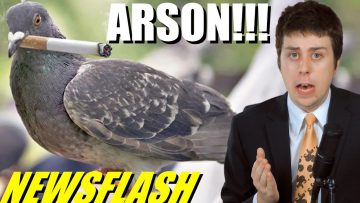 Smoking Pigeon Starts Fire – NEWSFLASH