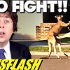 Wild Kangaroo Fight in Suburban Streets!! – NEWSFLASH