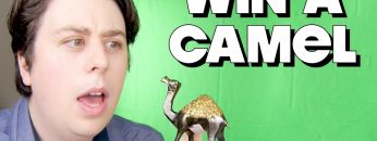 Win a Metallic Camel – FUNKY MONDAY