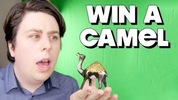 Win a Metallic Camel – FUNKY MONDAY