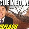 Woman Gets Trapped Rescuing Cat Stuck in Tree! – NEWSFLASH