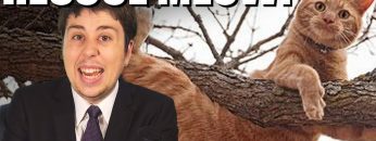 Woman Gets Trapped Rescuing Cat Stuck in Tree! – NEWSFLASH