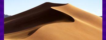 Sand Facts