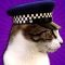 Botka Cop