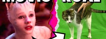 [ID: 3AQofNgB2K0] Youtube Automatic