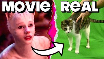 [ID: 3AQofNgB2K0] Youtube Automatic