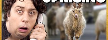 [ID: pNUlgRtngY4] Youtube Automatic