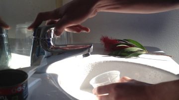 Budget Hotel Faucet Review