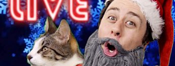 Private: [ID: U8OP0hJ5Euw] Youtube Automatic