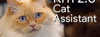 Private: [ID: lM2JcX0jG9s] Youtube Automatic