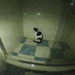 Profile picture of matury69