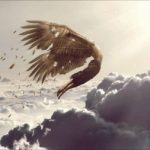 Profile picture of Icarus