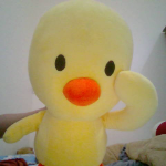 Profile picture of mrduck