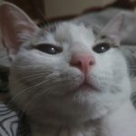 Profile picture of PhantomdudeYT