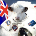 Profile picture of JollySpaceCow
