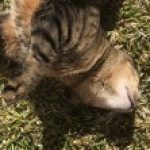 Profile picture of johnRay