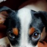 Profile picture of kittikiller90